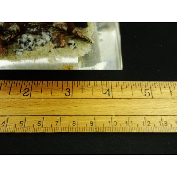 Vintage Canadian Lucite Prism Paperweight Diorama Moose Wildlife Scene - Picture 10 of 10